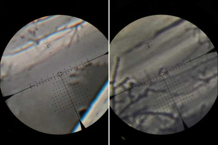 RH-25 V1 vs RH-25 V2 image
