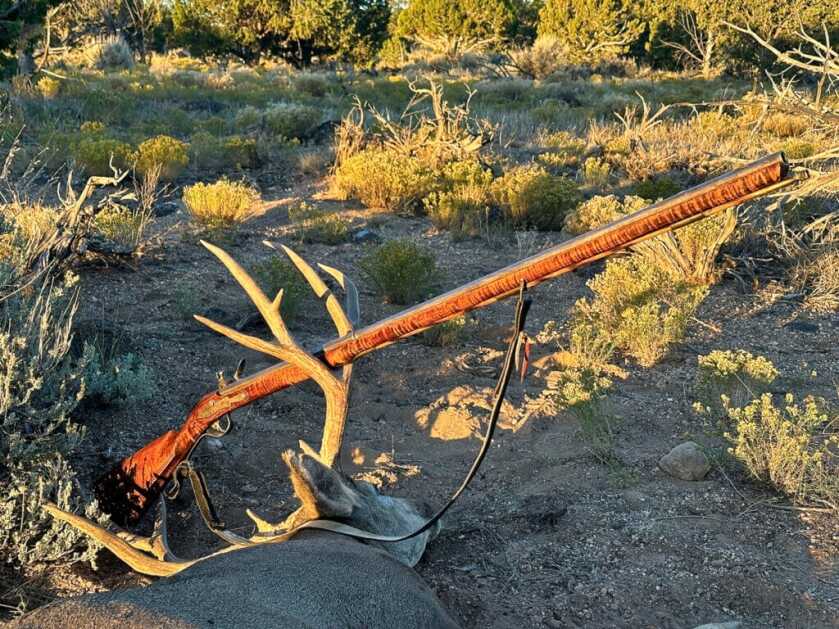 .54 caliber handmade flintlock long rifle with curly maple stock and octagon-to-round 42 inch barrel resting in mule deer antlers