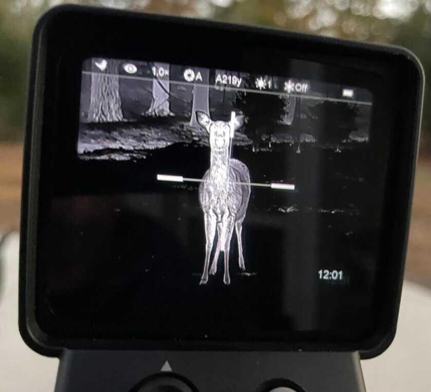 image of an animal through a thermal scope