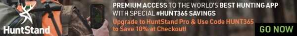 Don''t Miss This