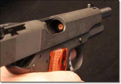 Omega Internal Gun Locks - Superior to Cable Locks