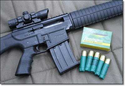 AR-15 Style 12 Gauge Shotgun - Akdal MKA-1919 RAAC