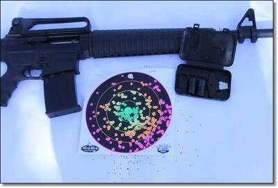 AR-15 Style 12 Gauge Shotgun - Akdal MKA-1919 RAAC