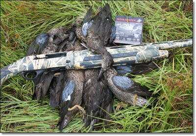 Duck Hunting in September