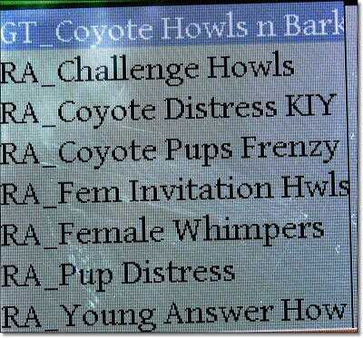 Killing Coyotes 101 - Daytime and Night Hunting Problem Coyotes Killing Coyotes 101 - Daytime and Night Hunting Problem Coyotes