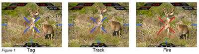 TrackingPoint Lock 'n Launch Rifle Technology