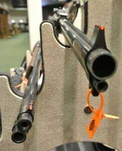 chiappa02