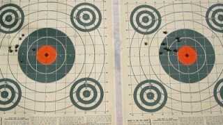 PPQ-25Targets-1