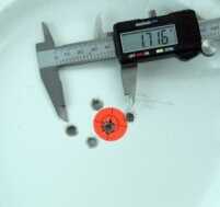 Federal 230 grain Hydra-Shock fired from 10 yards.