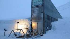 Seedvault - Keeping seeds more than a few years is not a sound practice for long term survival. This is the international seed vault that is buried in the Artic, because even freezing seeds in electric freezers can be fraught with problems. Learning how to garden and save your own seeds is the only viable method to have a hope at growing food down the road. Do it now so you don't have to guess later. 