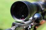 Heirloom Quality Micro Varmint Rifle: the CZ 527—New Gun Review