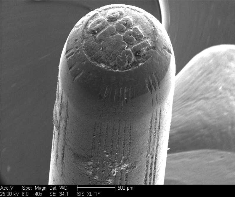 Microstamping wear on firing pin marks showing how laser engraved characters can degrade over time