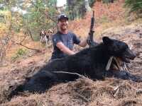 Hunting Black Bear in Western Idaho with Hounds