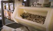 A tub of ammo at the Remington facility.