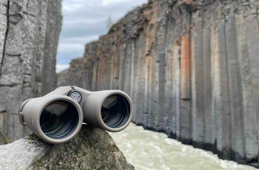 3 - Nature Observation: Sig ZULU8 HDX 10x42 Binocular Review