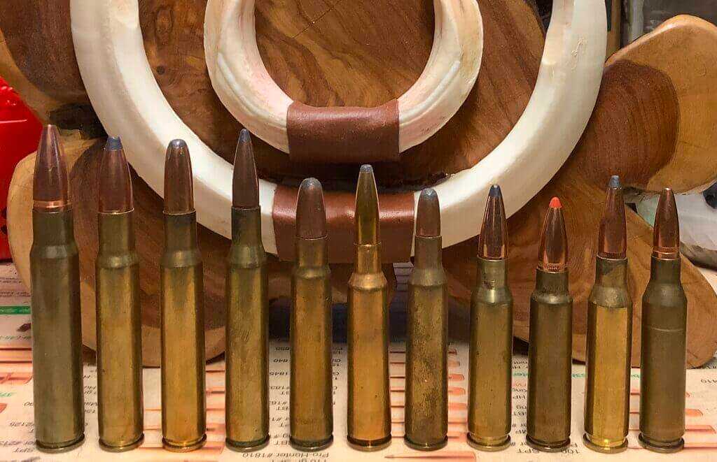 Variety of rifle ammo in from of wild boar tusks