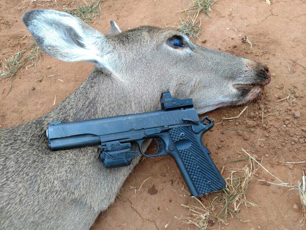 1911 doe