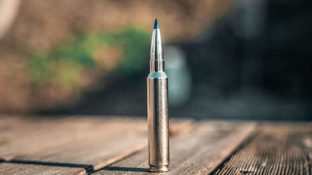 7mm Backcountry (1)