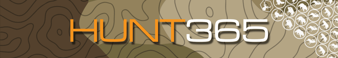 Responsive Banner