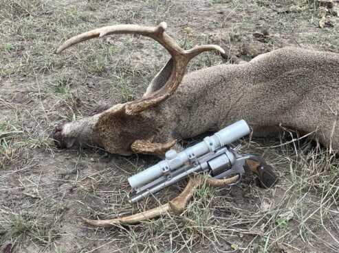 buck with a pistol