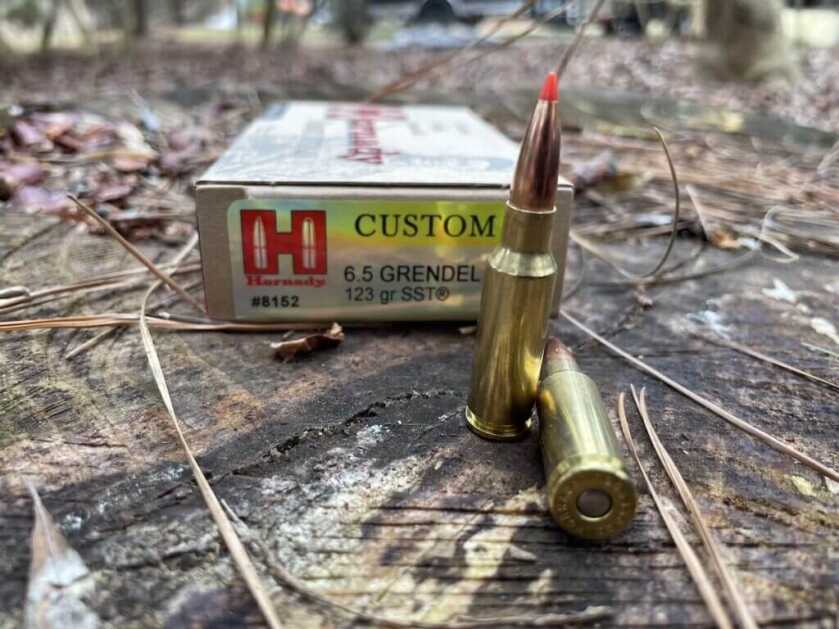 Hornady Custom 6.5 Grendel 123 grain SST hunting load accuracy and velocity