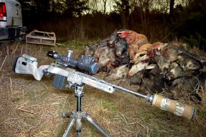 Savage 110 PPR mounted to tripod at night with bile of wild hogs. 