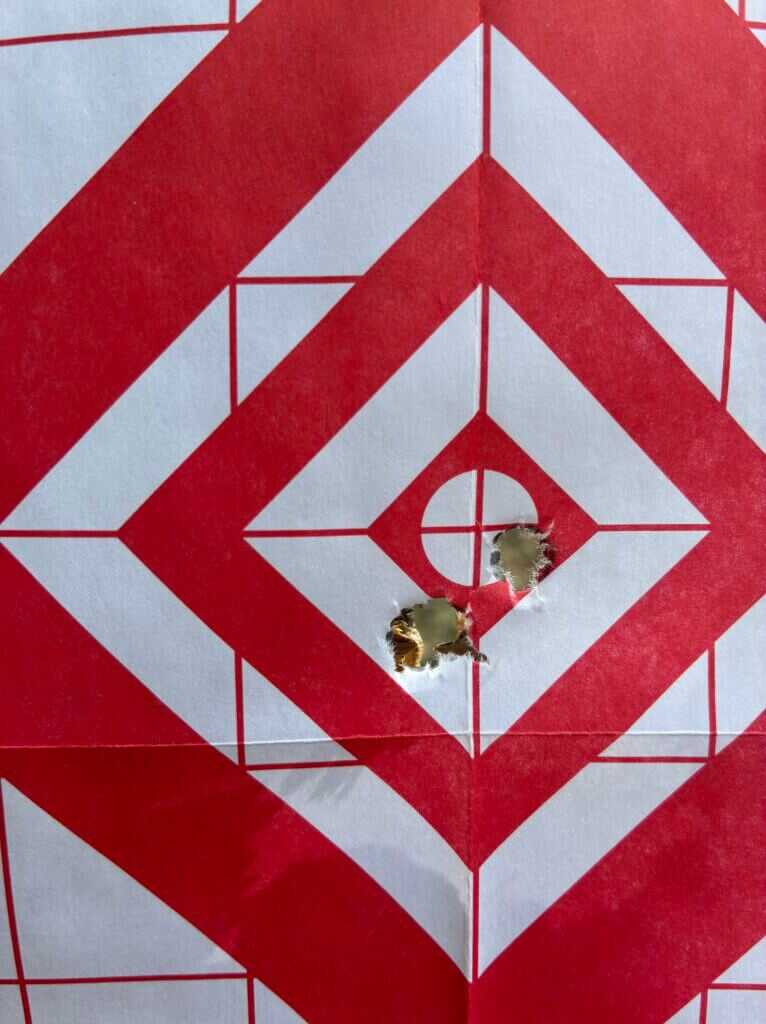 target paper with group from  7PRC 175 grain eldx ammo