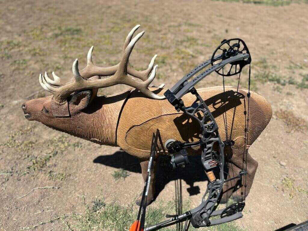 buck 3D archery target and compound bow for realistic target panic practice