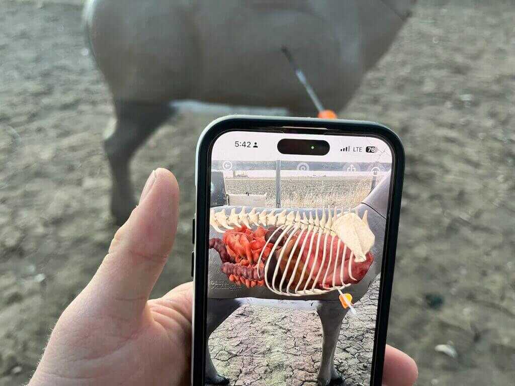 QuivAR app showing arrow placement inside a whitetail 3D target
