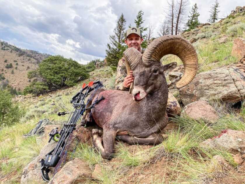 bowhunter with harvested bighorn ram after practicing on a matching 3D archery target