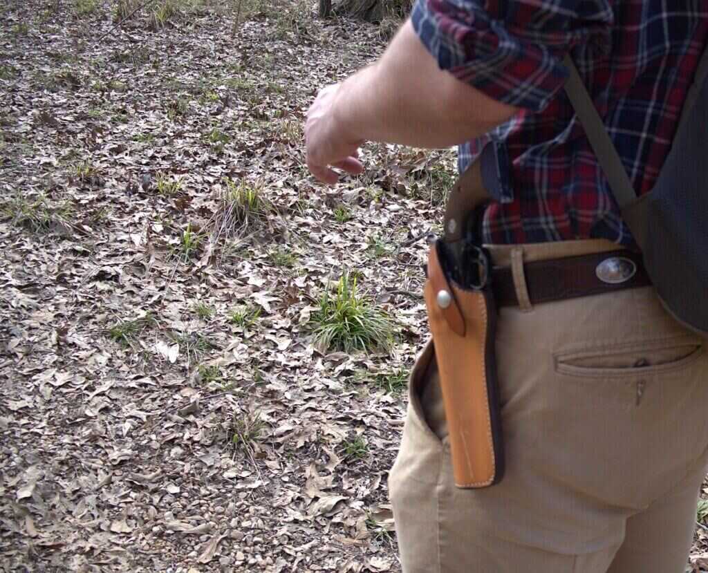 22 lr pistols for hunting sidearms