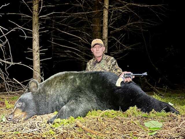 Texas Longhorn Arms Improved #5 revolver used on a Maine black bear with iron sights