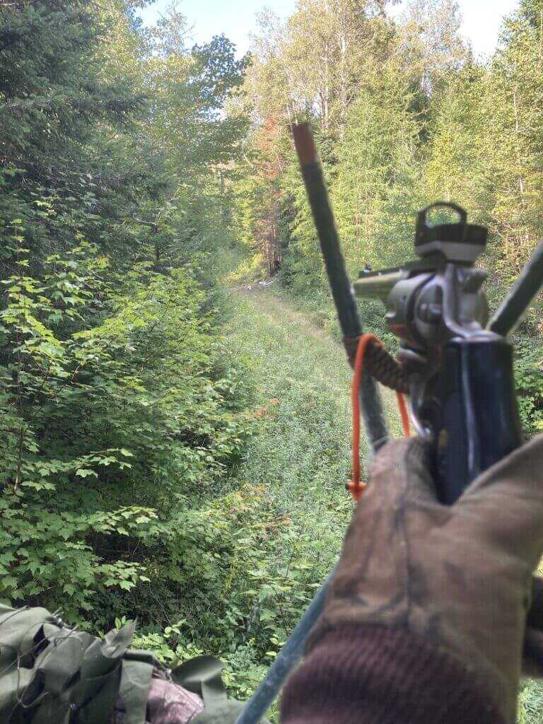 First Maine black bear stand site with bait 50 yards away and a Ruger Redhawk 41 Mag ready