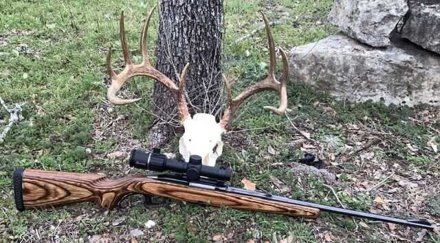 Winchester Model 88 in 308win after taking a fine whitetail buck