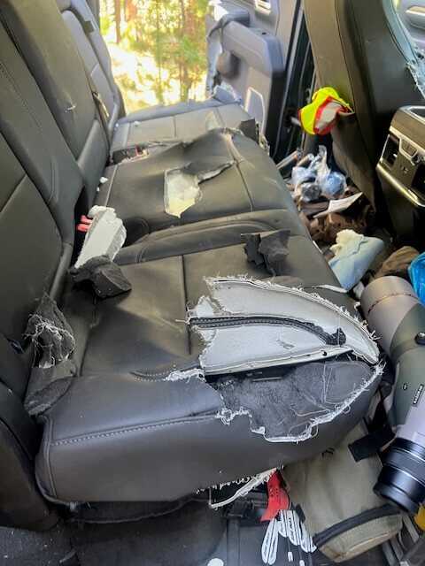 Exterior shot of Silverado with multiple claw scratches along bed and quarter panel in Montana