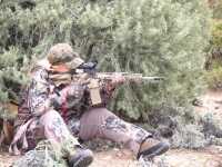 hunting with the ar-15