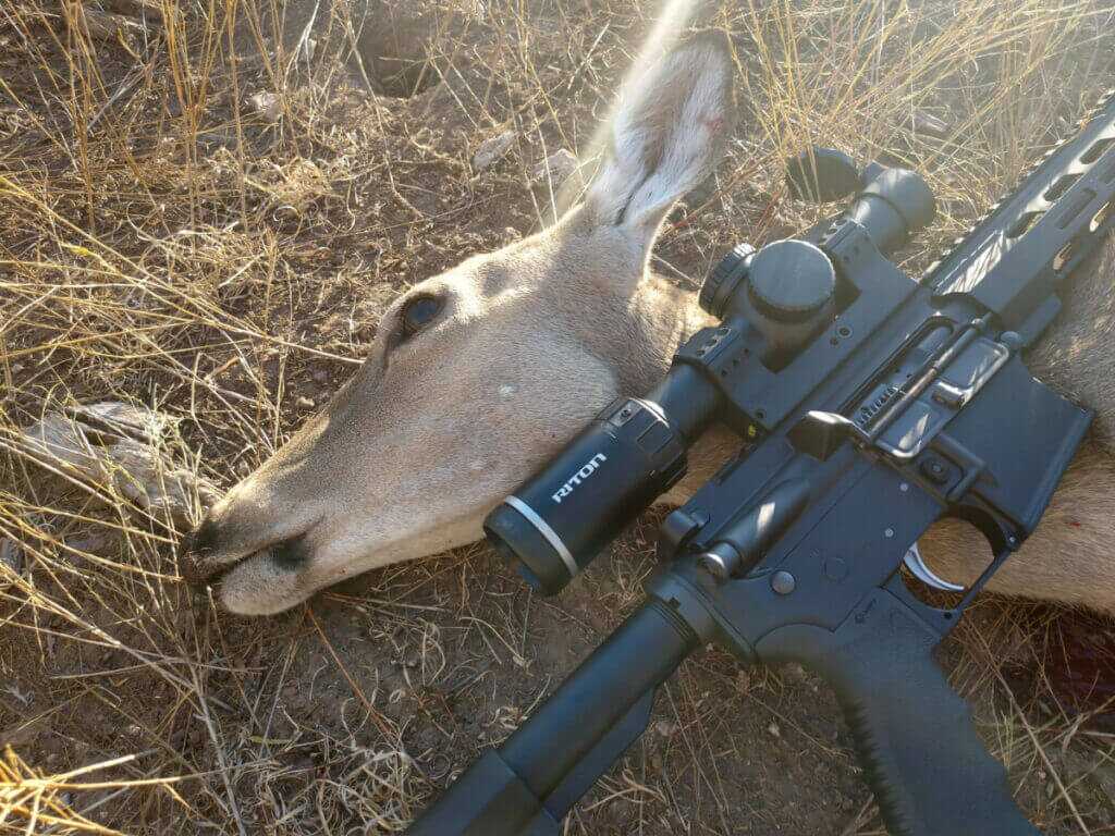 AR platform hunting rifle with harvested whitetail deer in the field