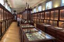 Beretta gun collection