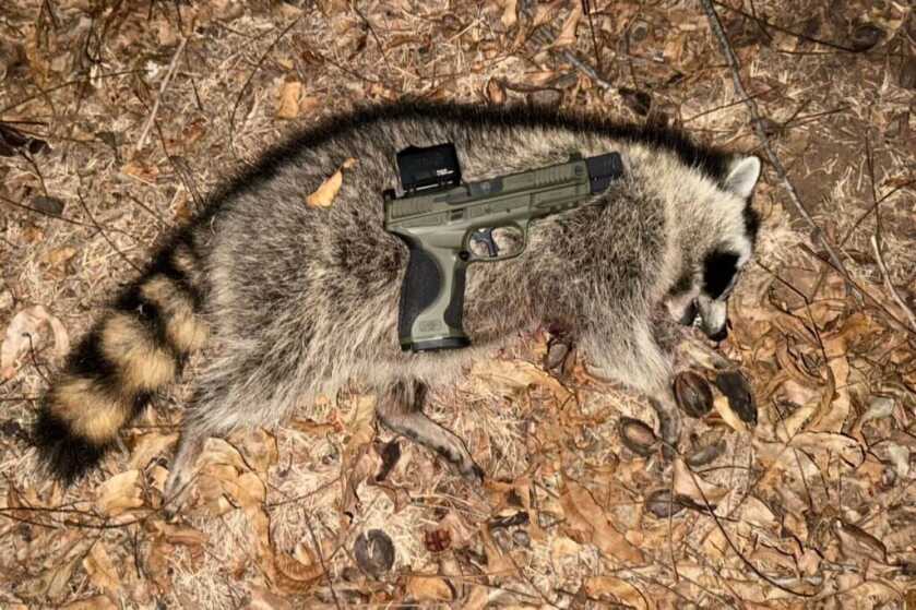 Garden protection with Infitac FML19 thermal helping identify varmints