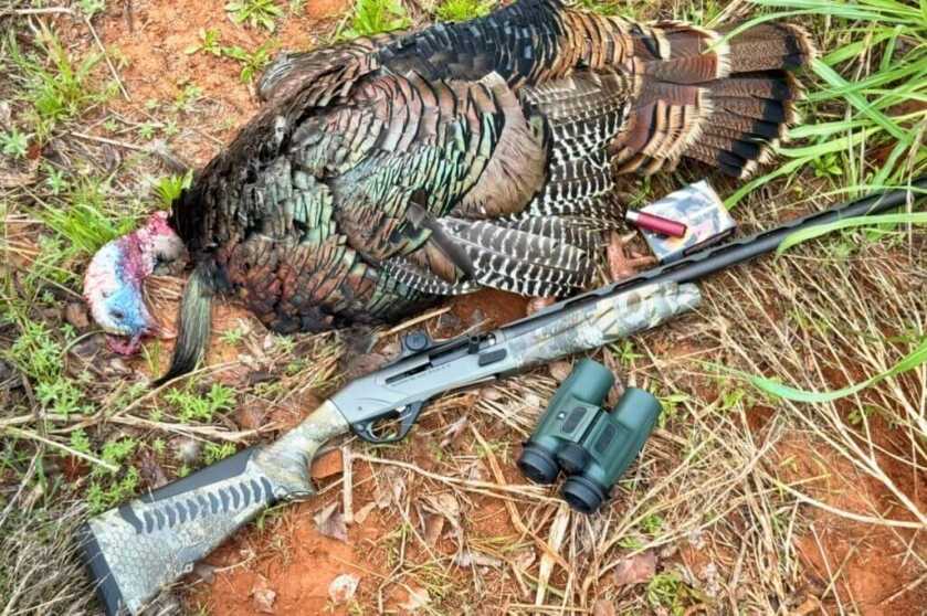 Successful turkey hunt using the Vortex Talon HD 10K and Benelli SBE 3 AI