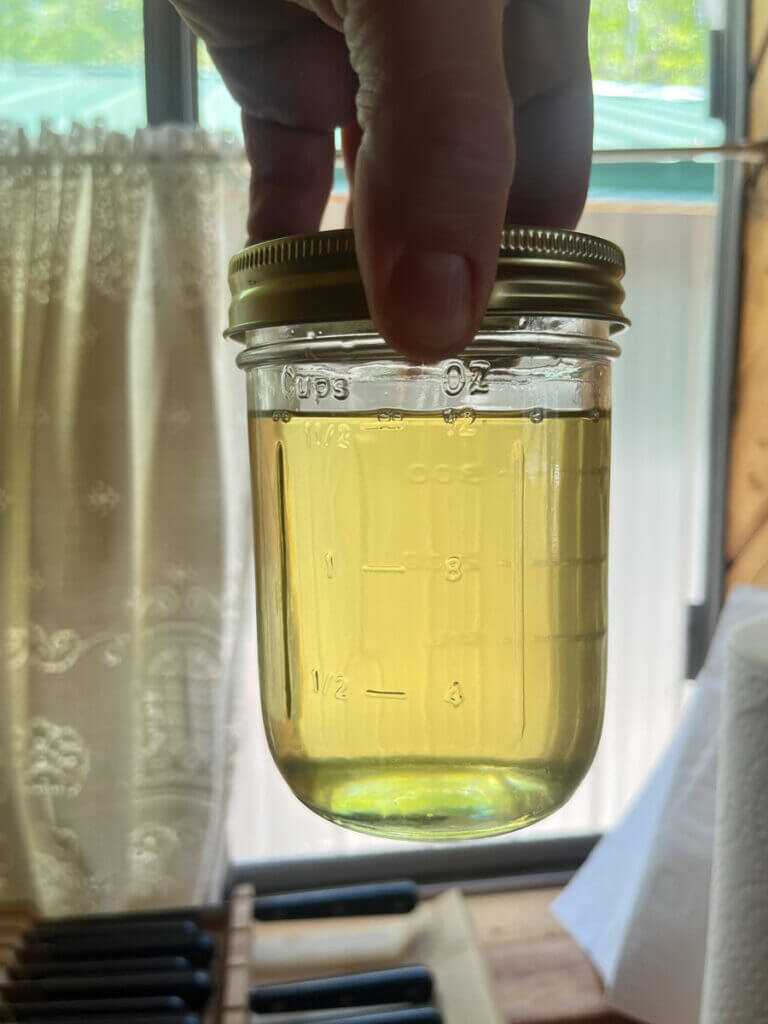 Pint jar of rendered bear grease held near a window showing clean wild game cooking oil