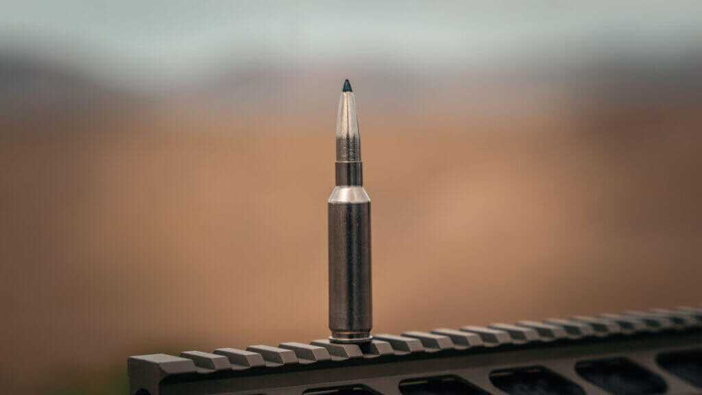 Magnetic steel alloy Federal 6.5 Creedmoor +Peak case compared to brass