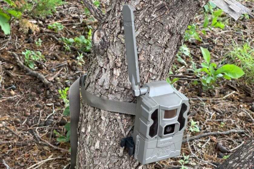 Tactacam REVEAL Pro 3.0 folding antenna tested for reception in multiple hunting locations
