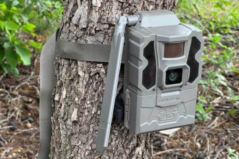 Tactacam REVEAL Pro 3.0 cellular trail camera reviewed after long-term field testing