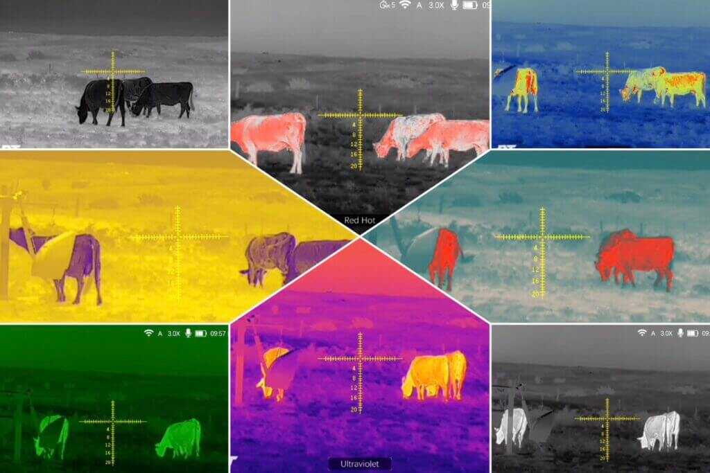 DNT Hydra HS335R thermal color palettes viewing cattle at 65 yards