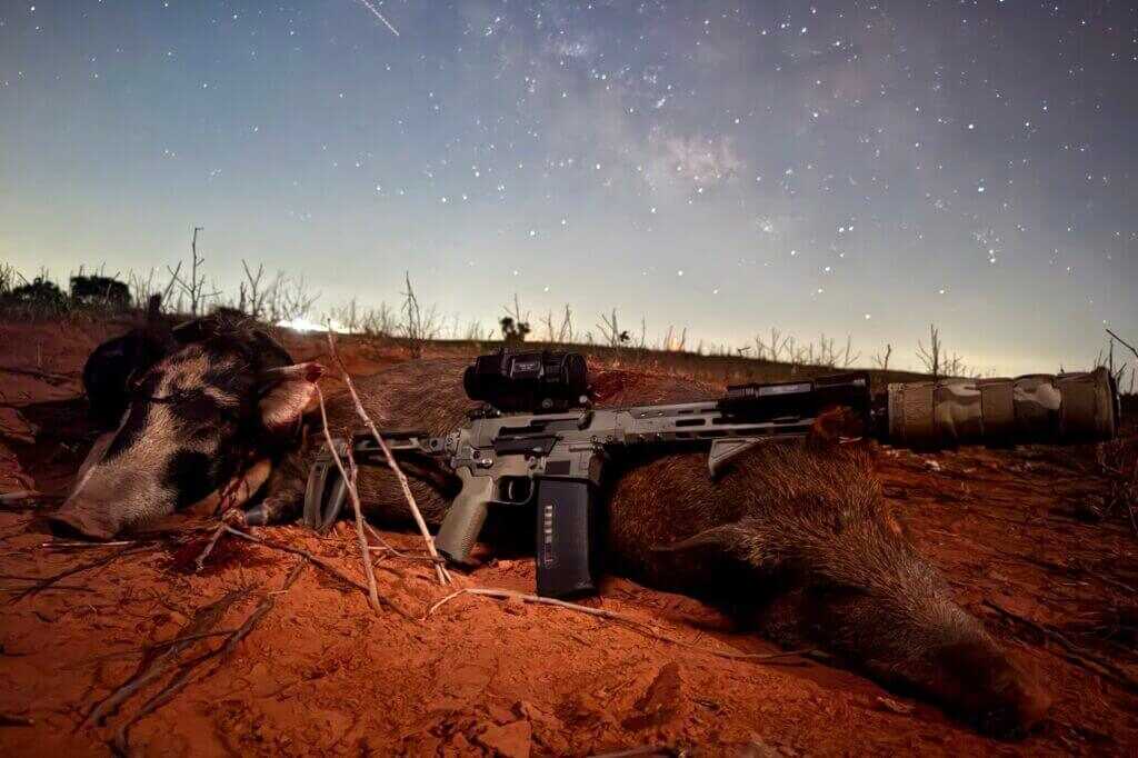 Wild pigs taken after being detected with the ATN ThOR 6 Mini 256 thermal scope in a milo field