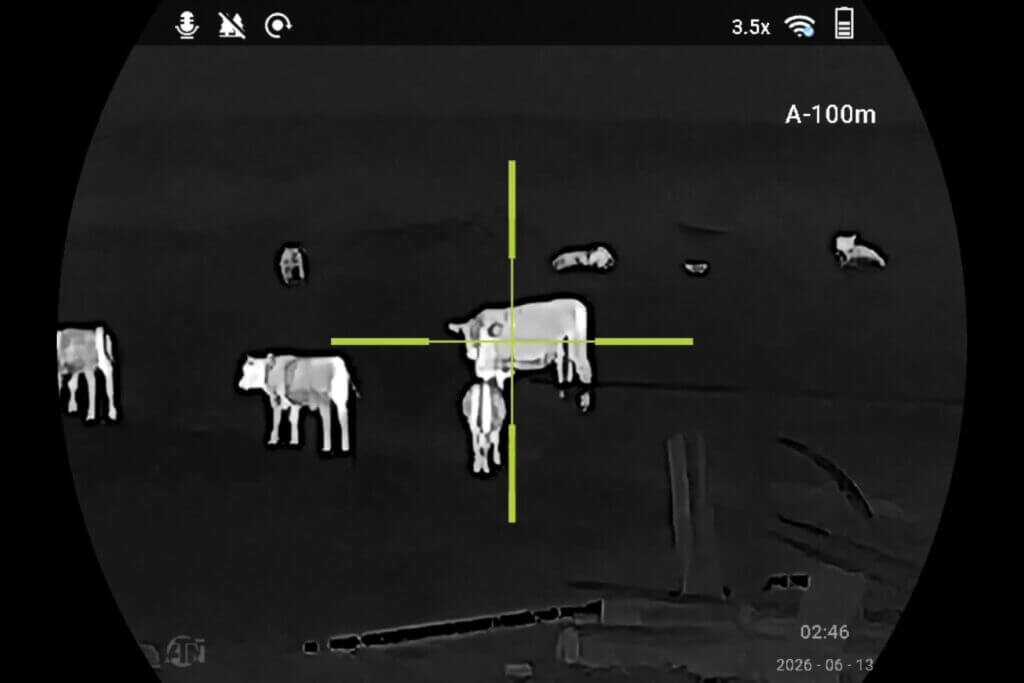 ATN ThOR 6 Mini 256 thermal image of cow at roughly 100 yards with distant grass shrubs and trees fading