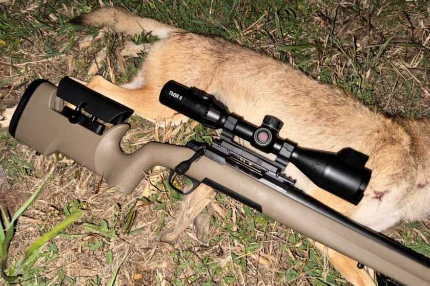 ATN thermal optic view during predator hunting with the Browning X-Bolt 2 Special Max LR SPR
