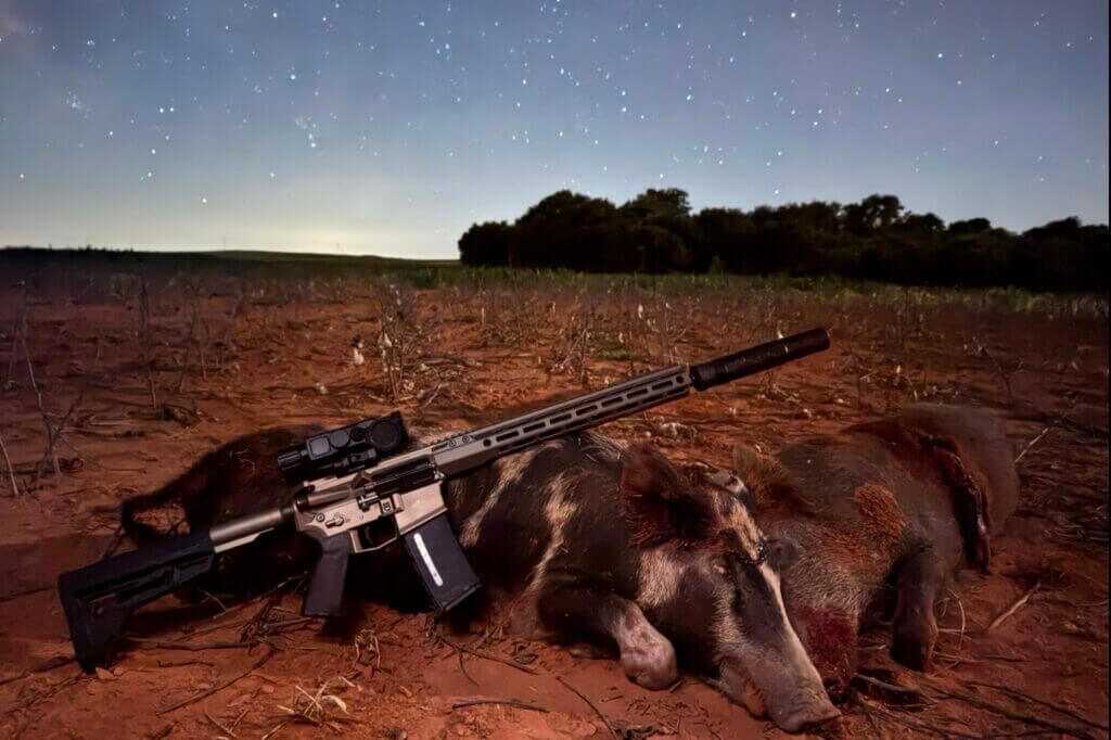 Successful hog hunt using the DNT Hydra HS335R thermal scope