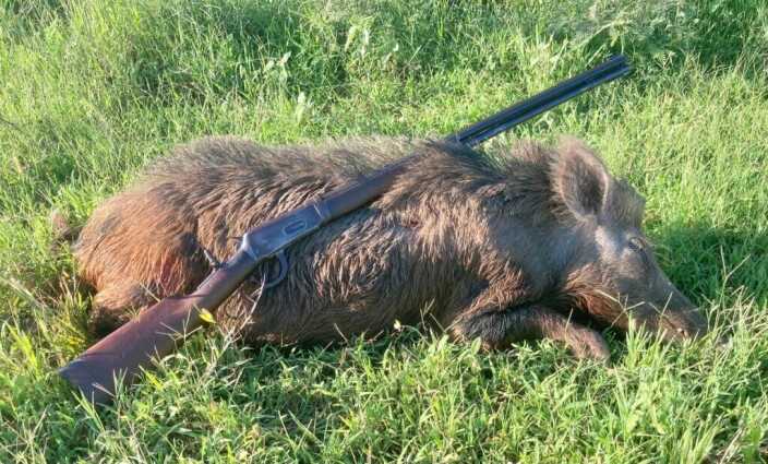 Over 110 year old Winchester 1894 takedown back in the field for a hunt